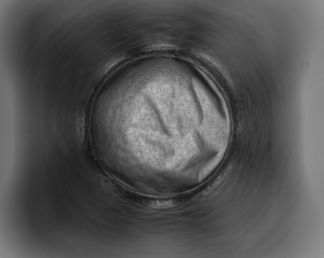 X0000099981313200806131351