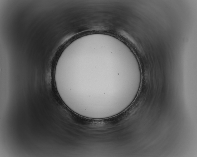 X0000099981315200806131351