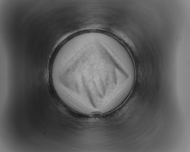 X0000099981316200806131351