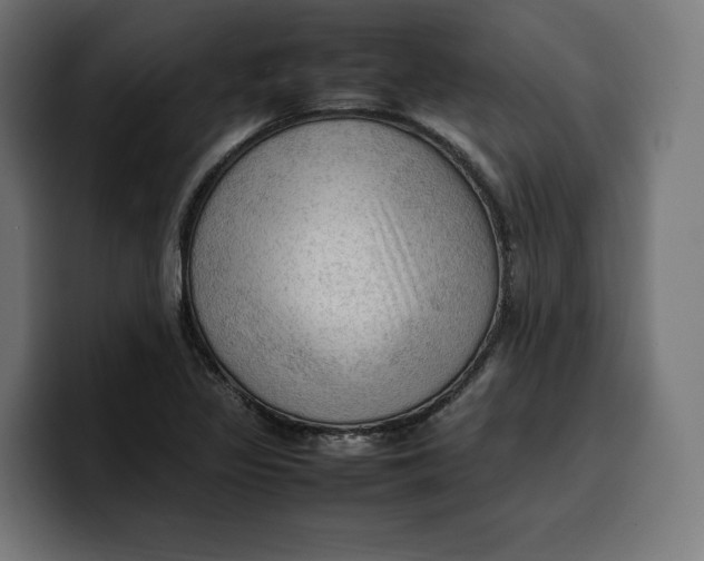 X0000099981317200806131351