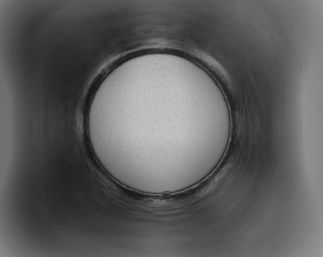 X0000099981318200806131351