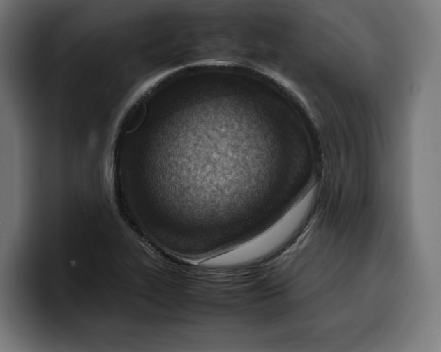 X0000099981319200806131351