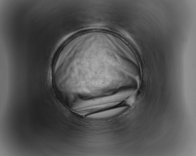 X0000099981320200806131351