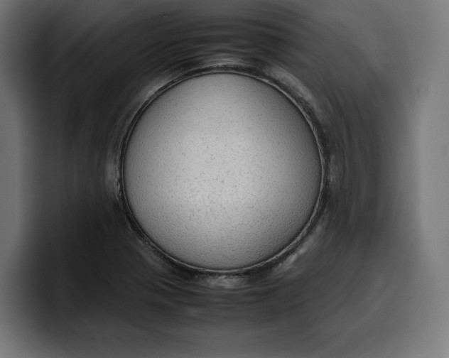 X0000099981321200806131351