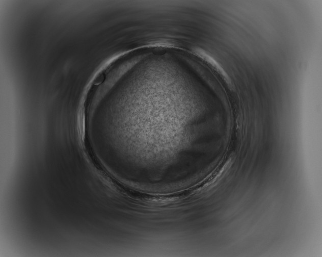 X0000099981323200806131351