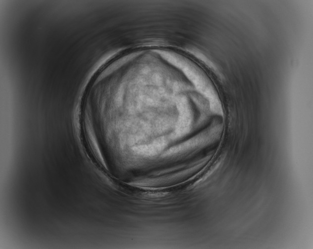 X0000099981325200806131351