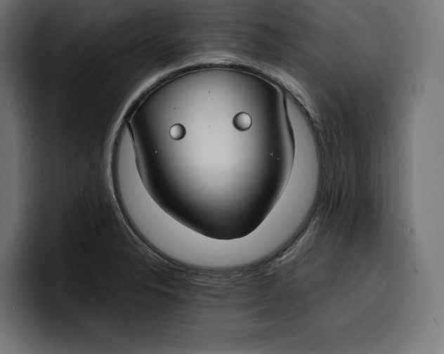 X0000099981326200806131351