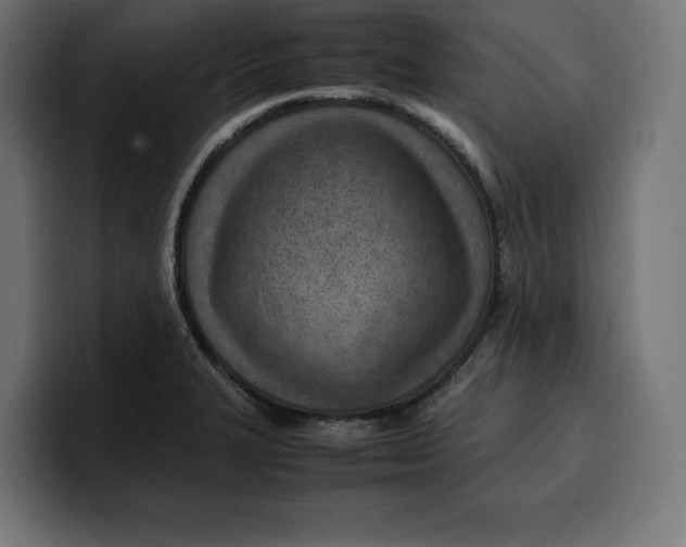 X0000099981327200806131351