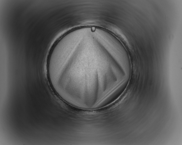 X0000099981328200806131351