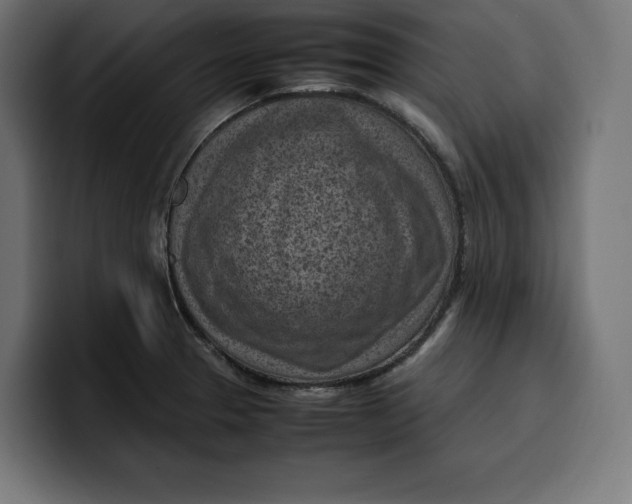 X0000099981329200806131351