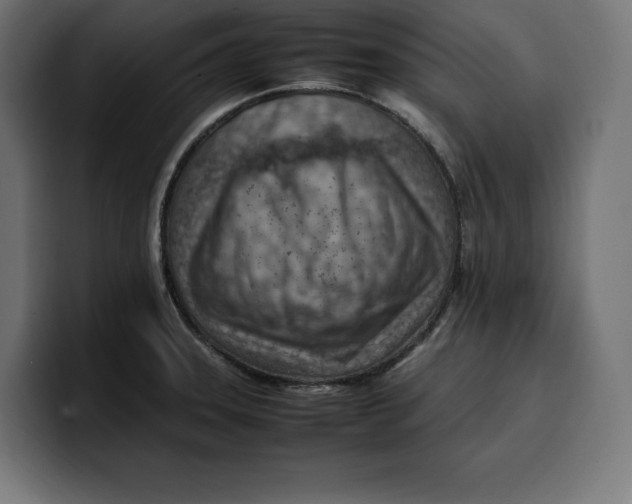 X0000099981331200806131351