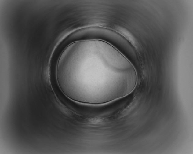 X0000099981332200806131351