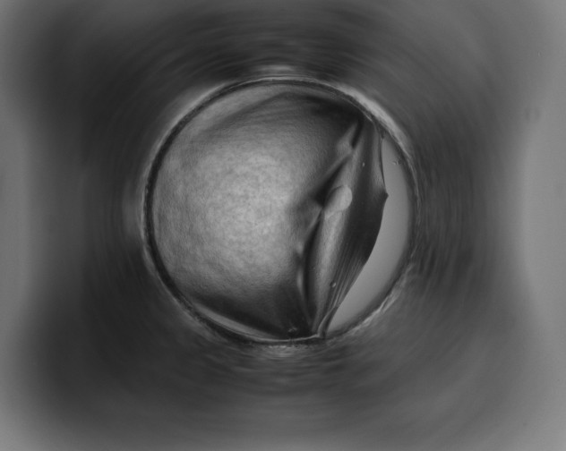 X0000099981333200806131351