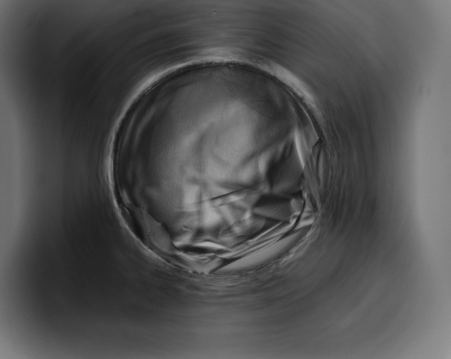 X0000099981334200806131351