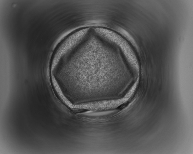 X0000099981336200806131351