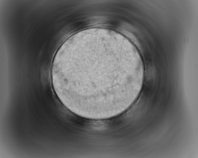 X0000099981338200806131351