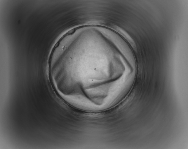 X0000099981340200806131351