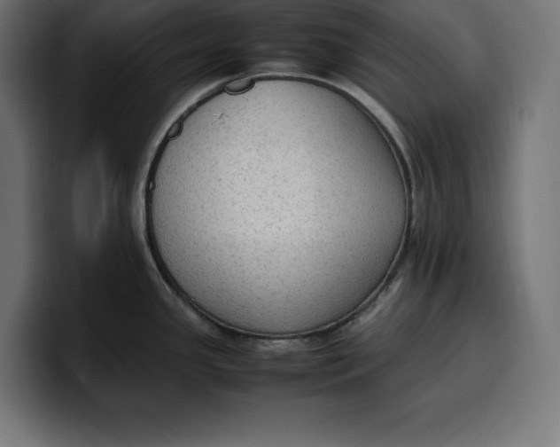 X0000099981341200806131351