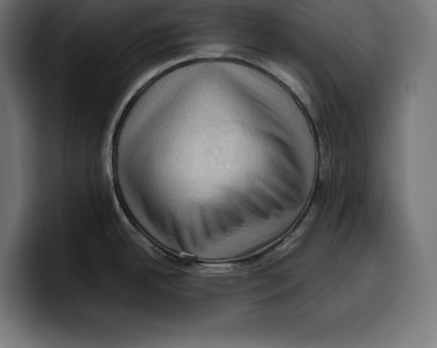 X0000099981342200806131351