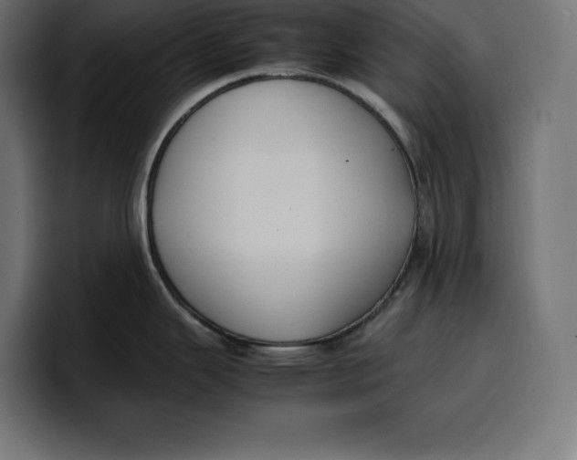 X0000099981343200806131351