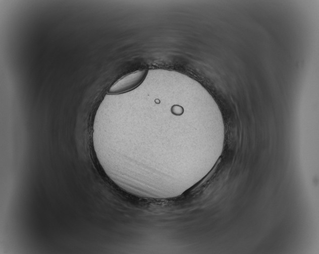 X0000099981345200806131351