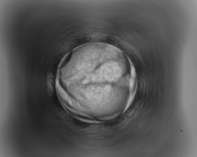 X0000099981346200806131351