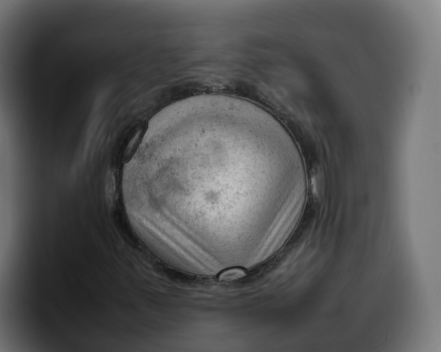 X0000099981347200806131351