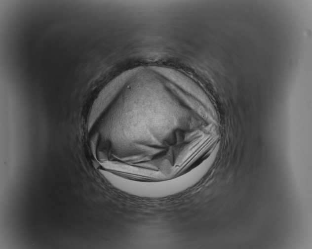 X0000099981349200806131351