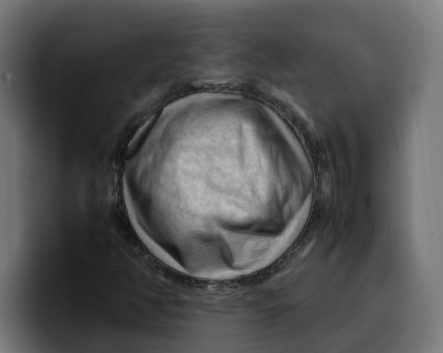 X0000099981350200806131351