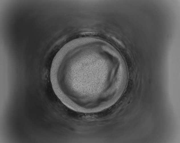 X0000099981351200806131351