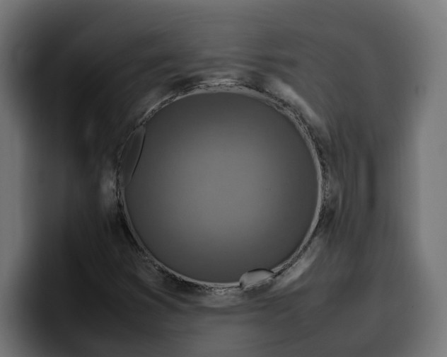 X0000099981353200806131351