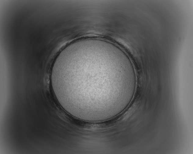 X0000099981355200806131351