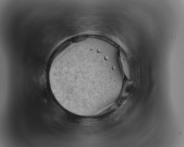 X0000099981356200806131351