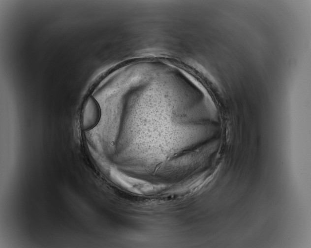 X0000099981358200806131351