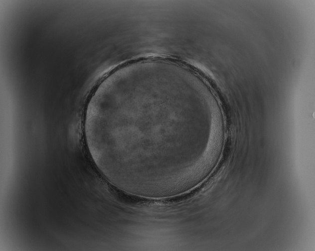 X0000099981359200806131351