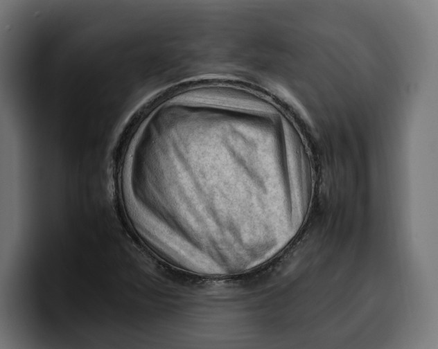 X0000099981360200806131351