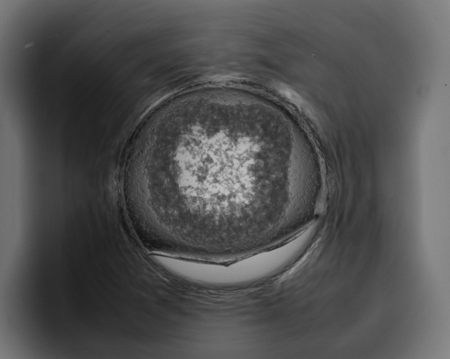 X0000099981361200806131351