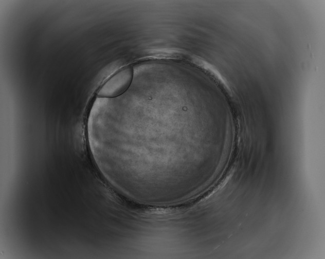 X0000099981362200806131351