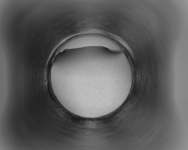 X0000099981364200806131351