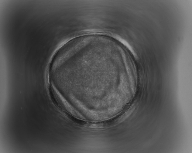 X0000099981365200806131350