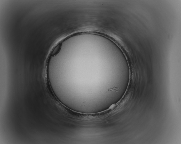 X0000099981366200806131350