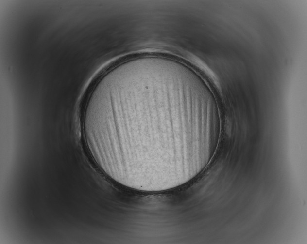 X0000099981368200806131350