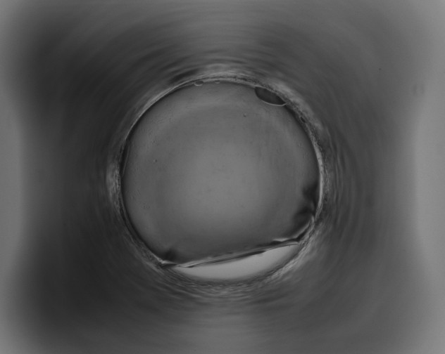 X0000099981369200806131350