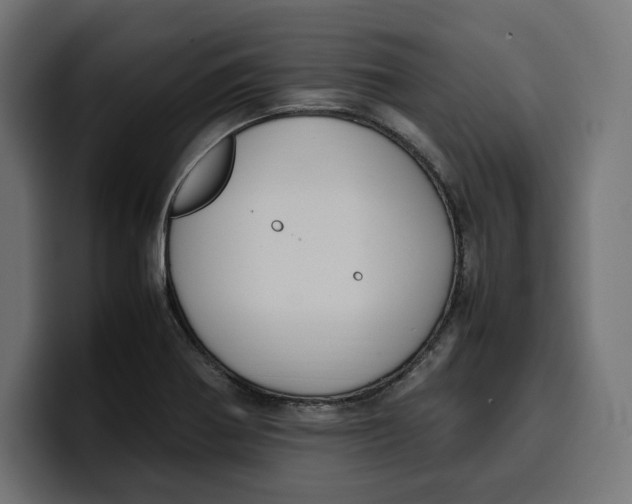 X0000099981370200806131350