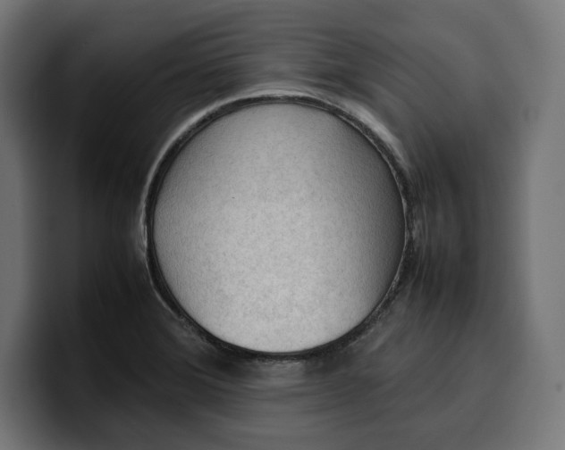 X0000099981372200806131350