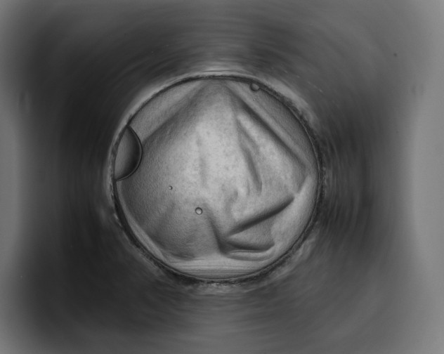 X0000099981374200806131350