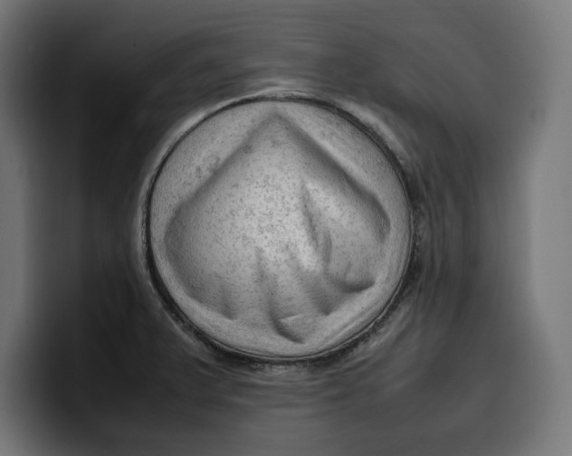 X0000099981375200806131350