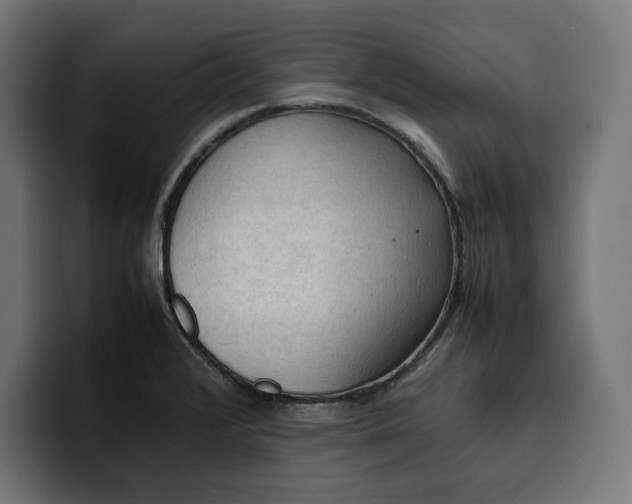 X0000099981376200806131350