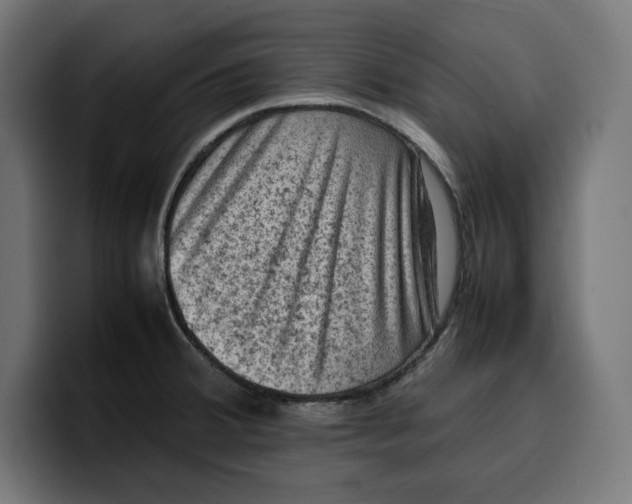 X0000099981380200806131350