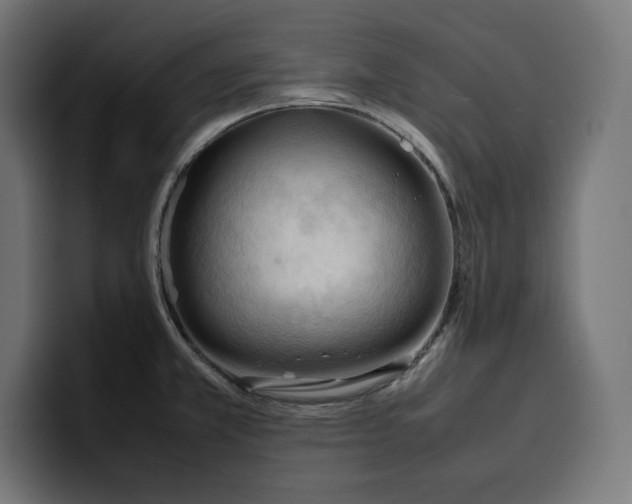 X0000099981381200806131350